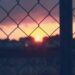 wybor ogrodzenia