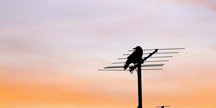 antena telewizyjna